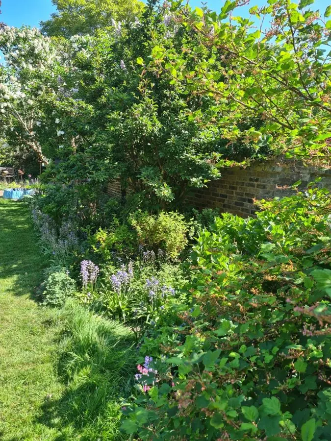 Long cottage border beside a lawn: the garden before
