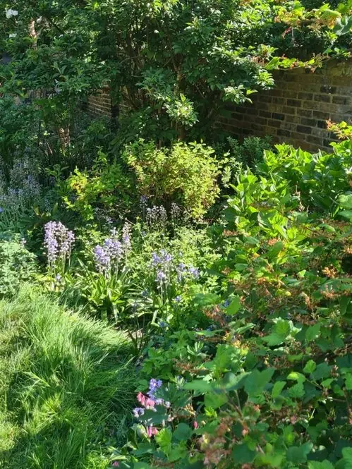 Long cottage border beside a lawn: the garden before