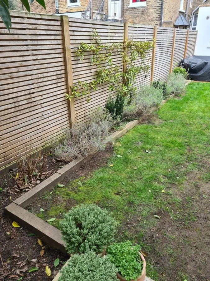 Border along a slatted fence beside a lawn: the garden before
