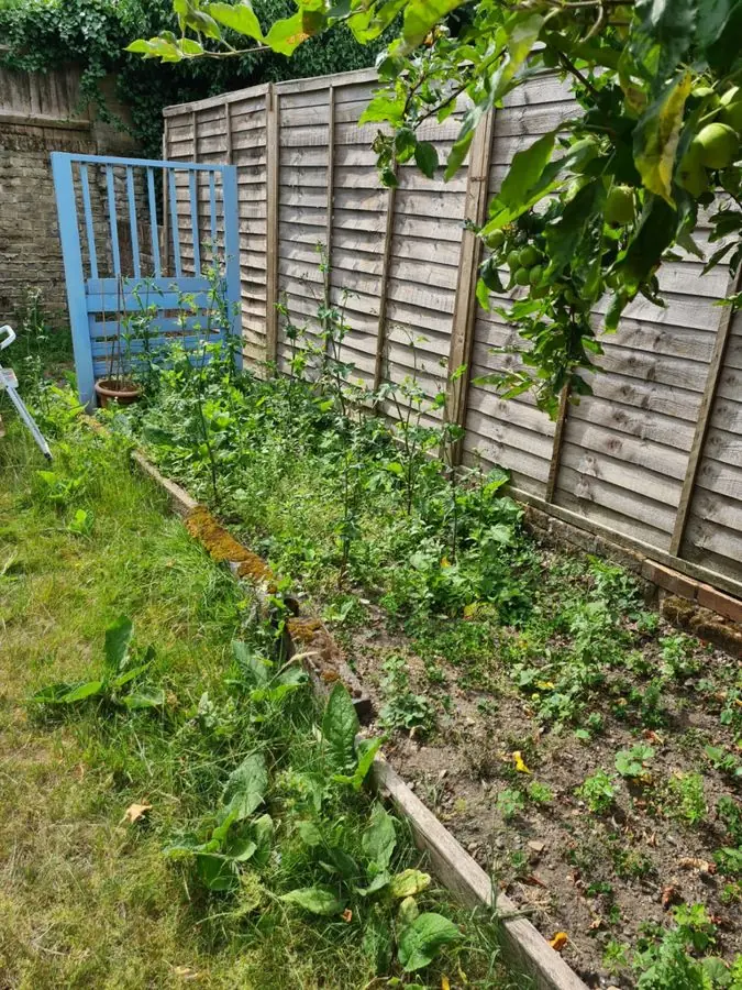 Cottage border by the gate: the garden before