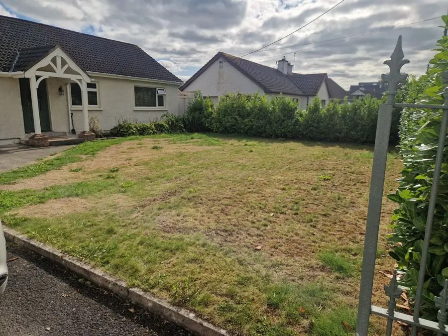 A dry front lawn beside a driveway and a low hedge, before the redesign