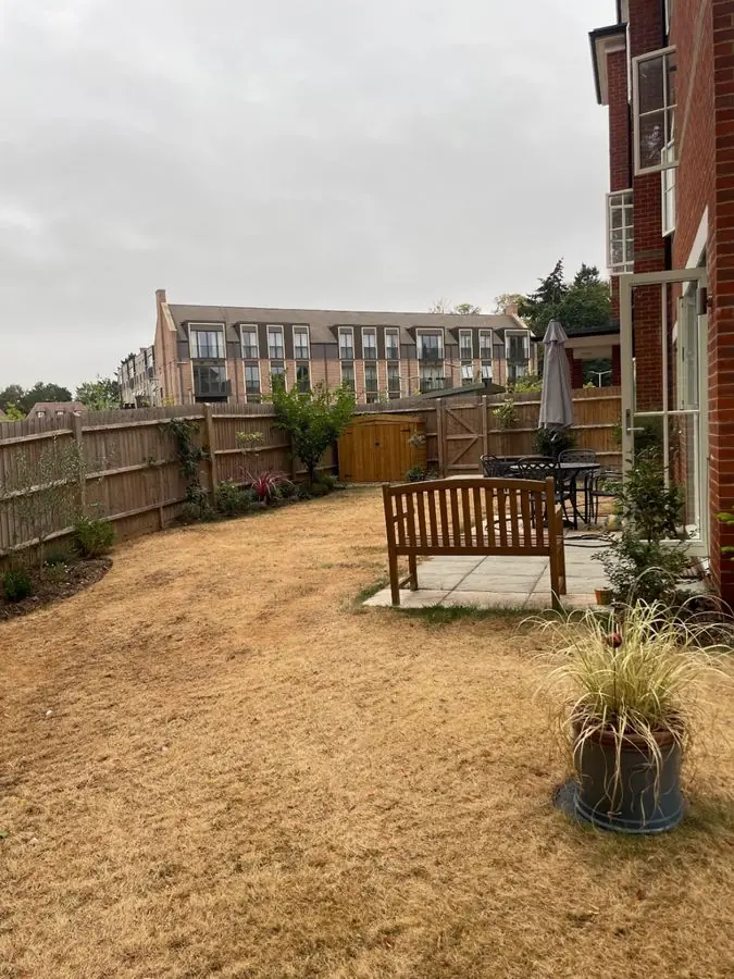 A dry brown lawn with a bench, fence and potted grass, before the redesign