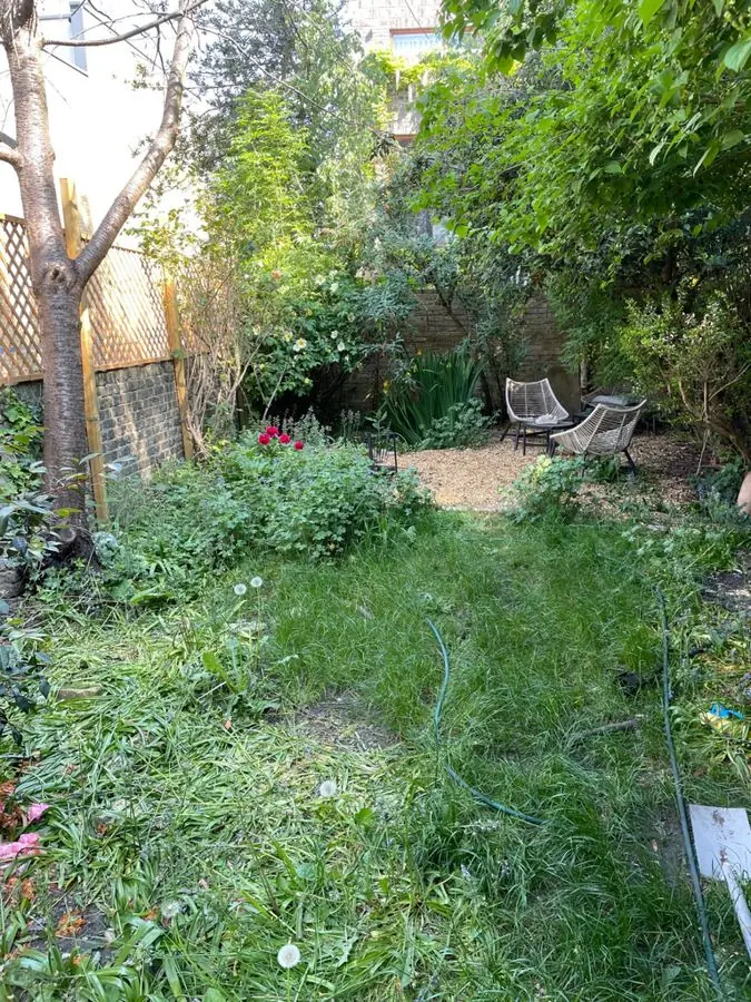 An overgrown lawn under a tree with two chairs at the back, before the redesign