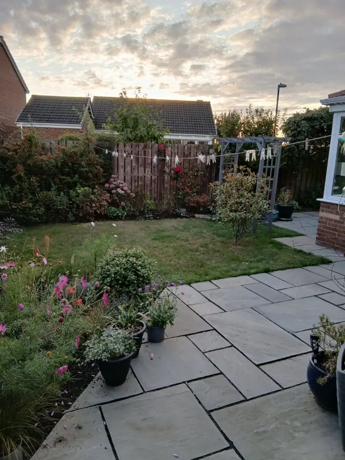 Lavender gravel garden: the garden before