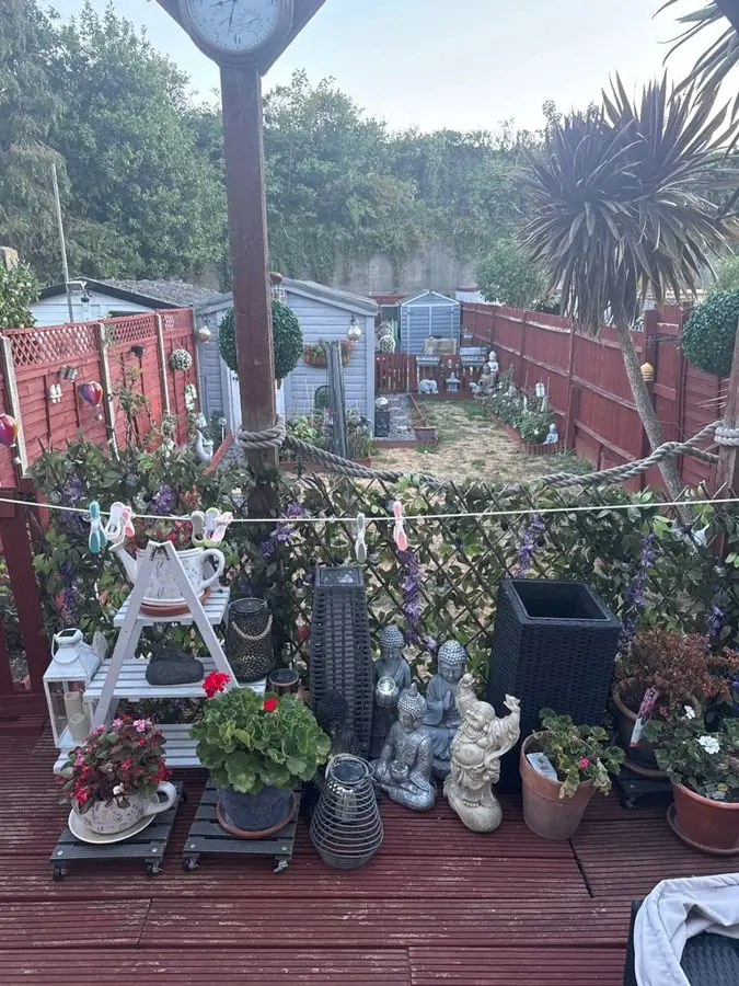 Brick path, pots and a palm: the garden before