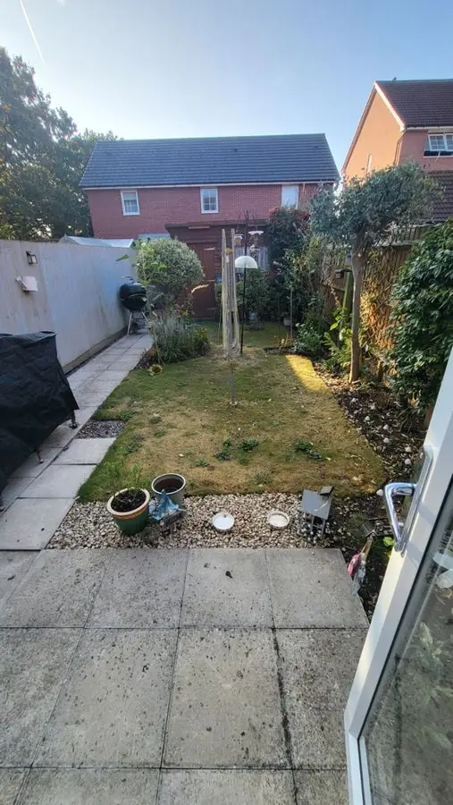 Delphinium courtyard: the garden before