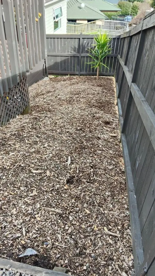 Tropical stone path garden: the garden before