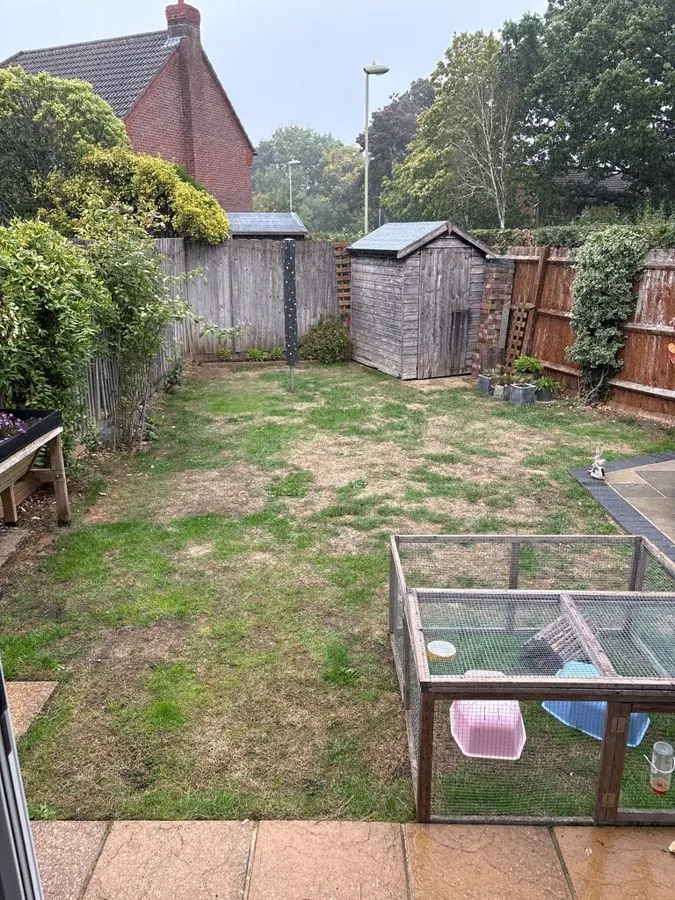 Paved path through planting: the garden before
