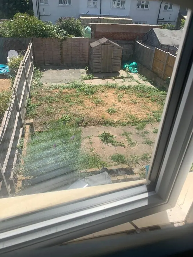 Brick paths and a shed, from the window: the garden before