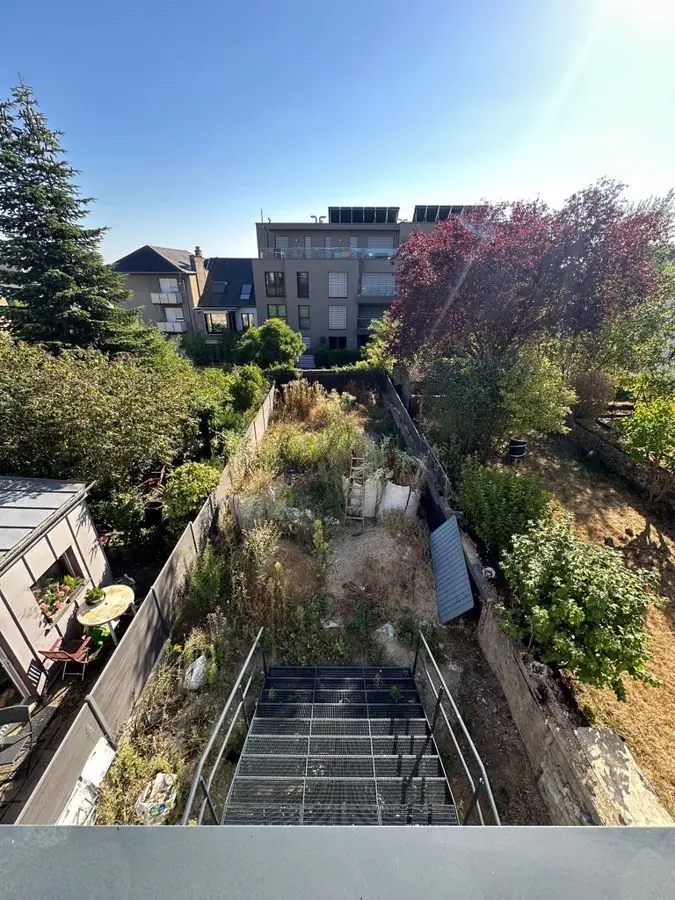 Steps down through autumn colour: the garden before