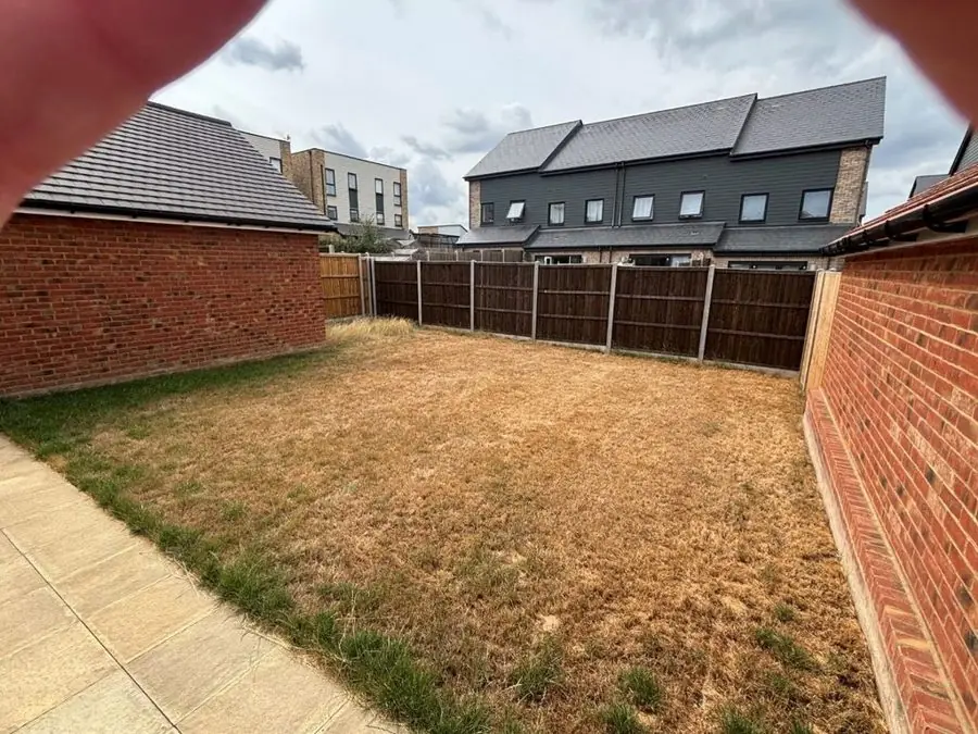 New build plot with lavender and clipped shrubs: the garden before