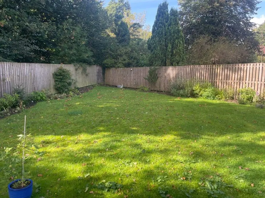 Curved paths and a circle of planting: the garden before