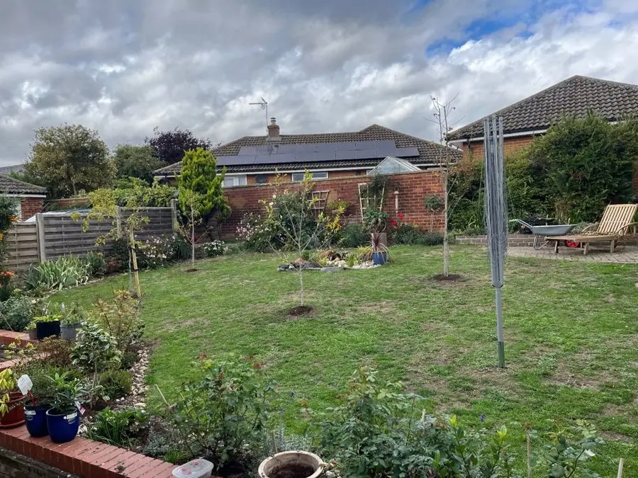 Big lawn edged with roses and delphiniums: the garden before
