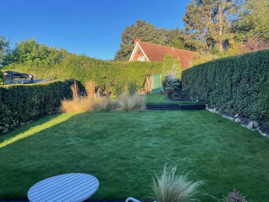 Stepping slabs across a lawn to the hedge: the garden before