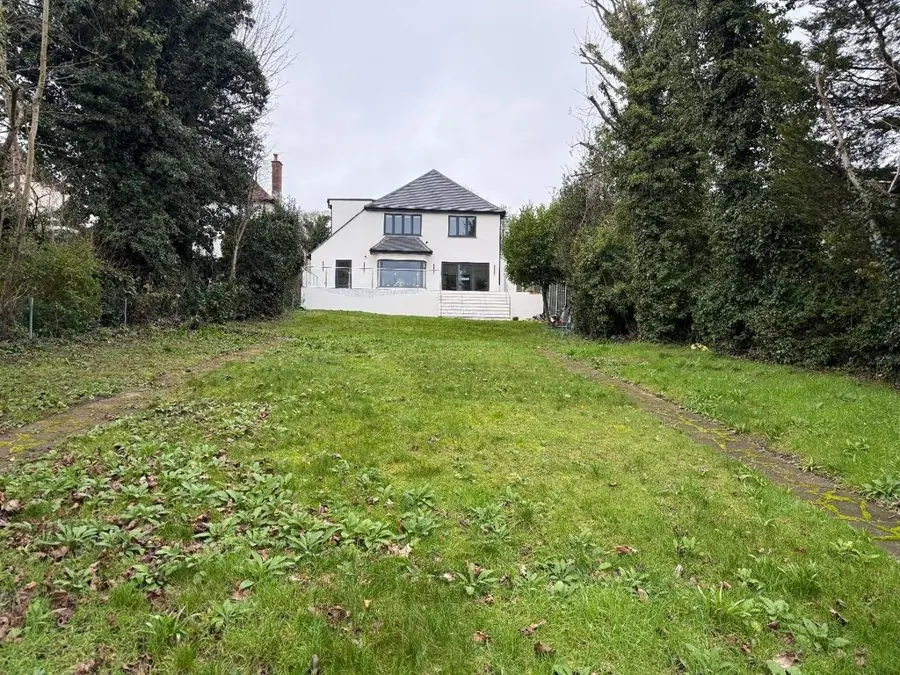 A long, worn lawn between tall trees leading to the house, before the redesign