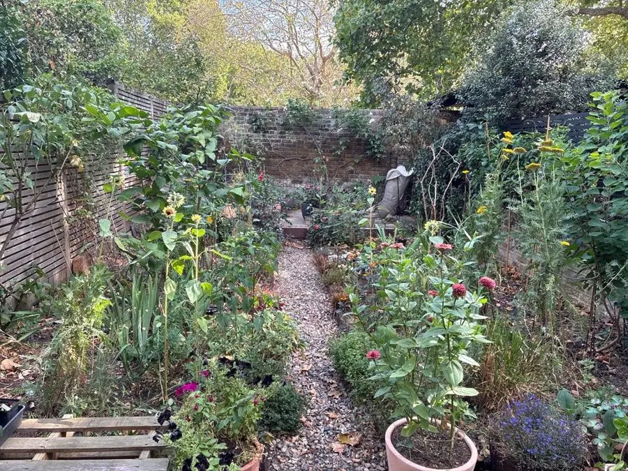 Overgrown beds either side of a narrow gravel path, before the redesign