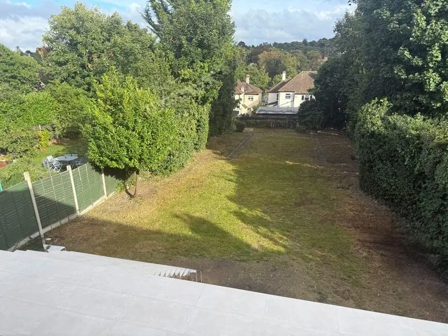 A long, patchy lawn between tall hedges and conifers, before the redesign