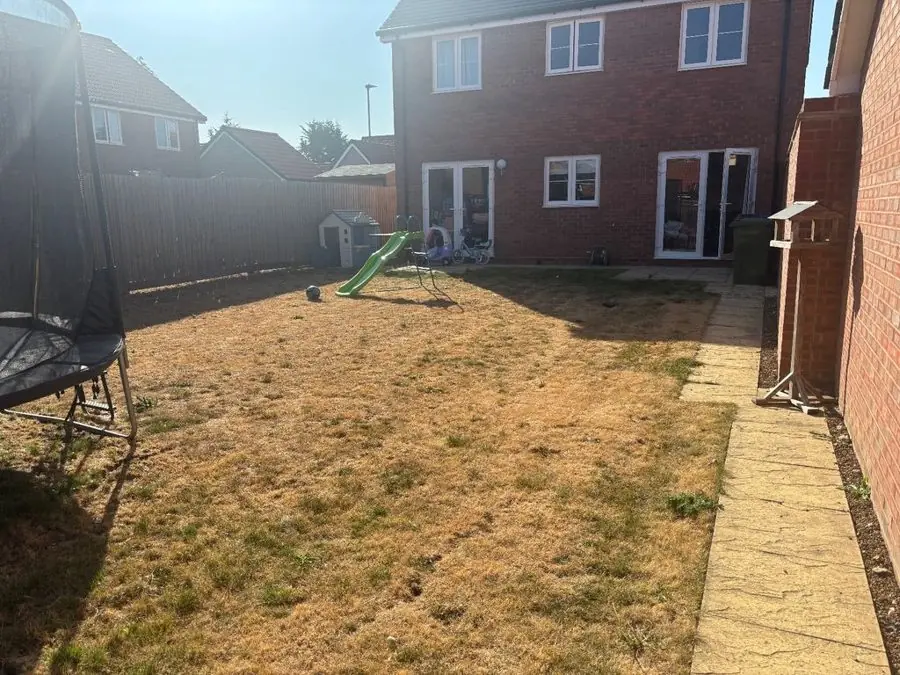 Family lawn with a sunken trampoline: the garden before