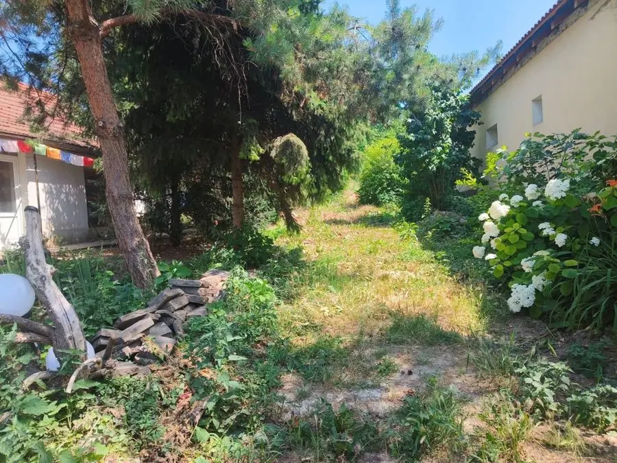 Raked gravel and stepping stones: the garden before