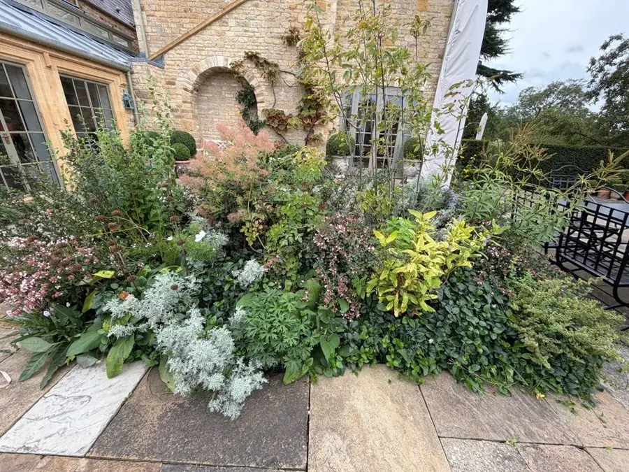 Dahlias and dark leaves by the terrace: the garden before