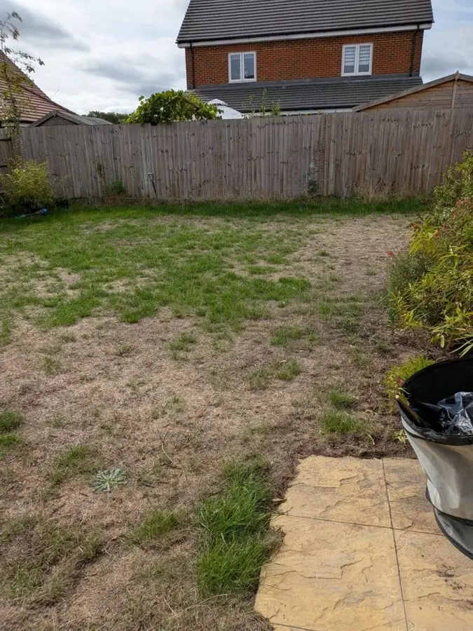 A patchy dry lawn with a wooden fence and paved corner, before the redesign