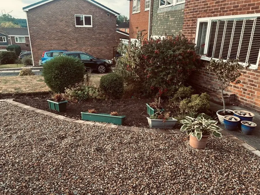 Front garden of gravel and lavender: the garden before