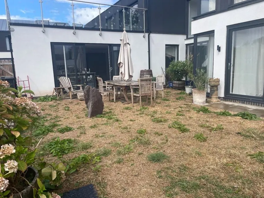 Clipped balls and a stone sphere by the house: the garden before