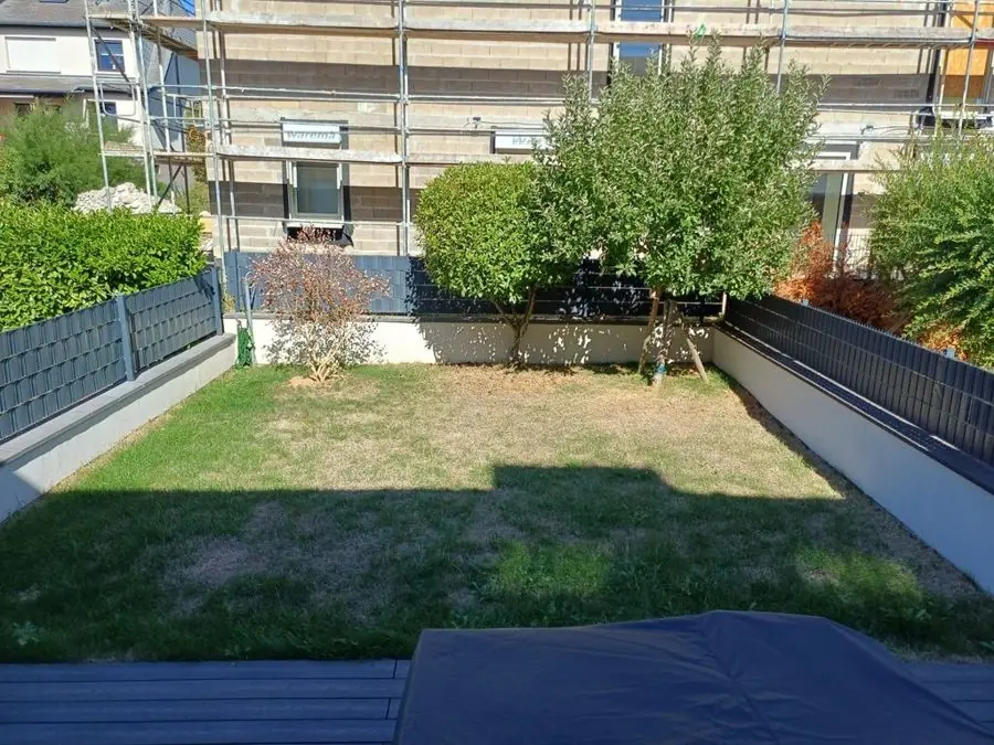 A sunken lawn walled with grey fencing and a few shrubs, before the redesign
