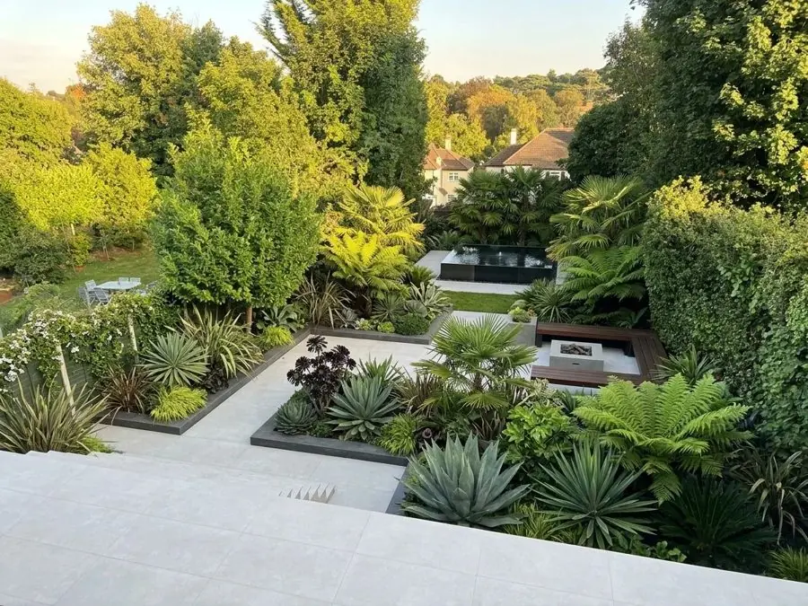 Agaves, tree ferns and pale paving, a lawn garden idea
