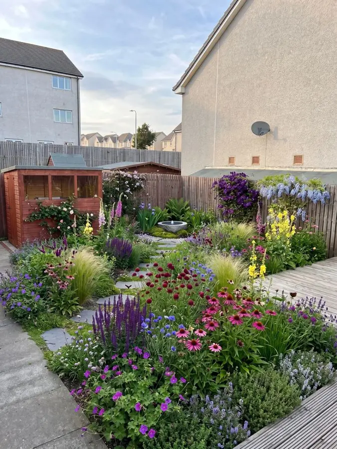 Coneflowers and salvias by the decking, redesigned