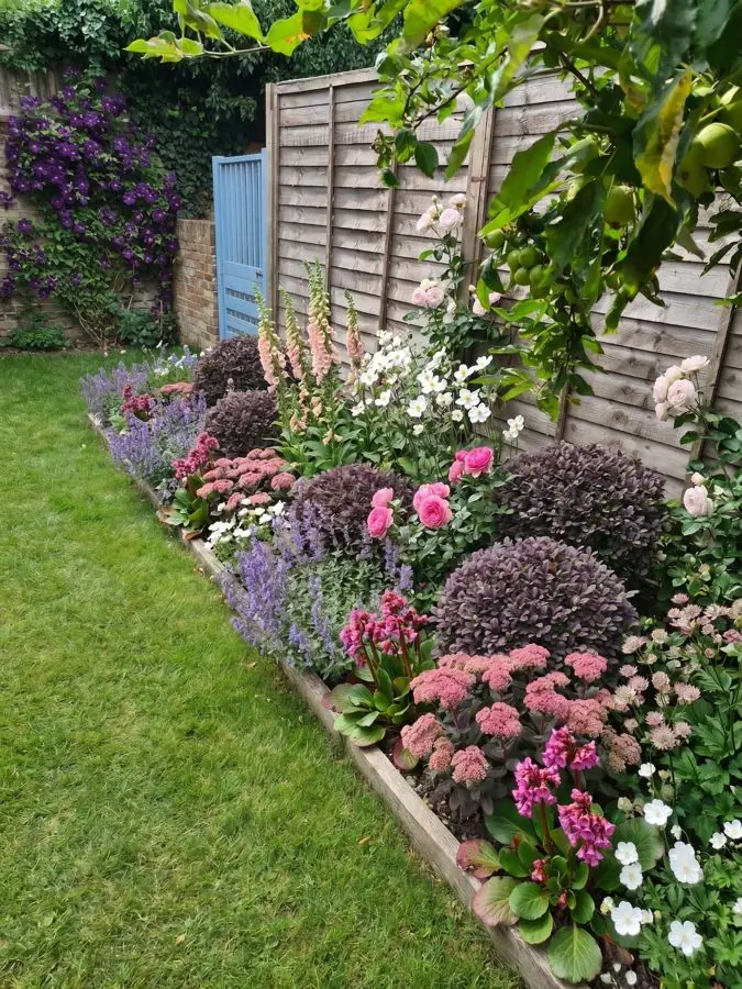 Cottage border by the gate, redesigned