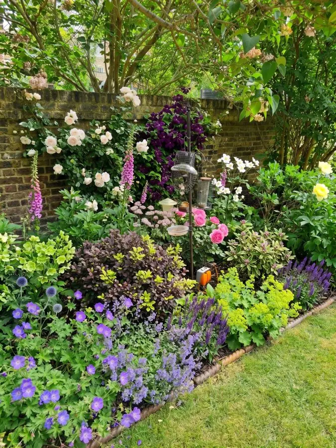Deep cottage border with roses and geraniums, redesigned