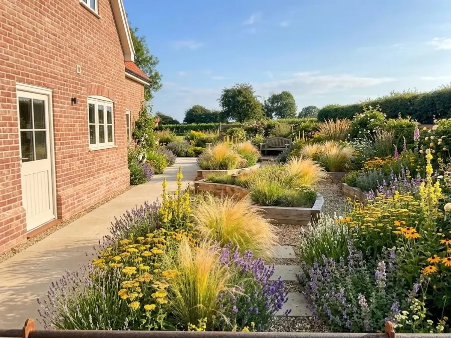 Gold grasses in raised beds, redesigned