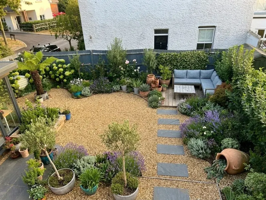Gravel courtyard with olive trees, redesigned