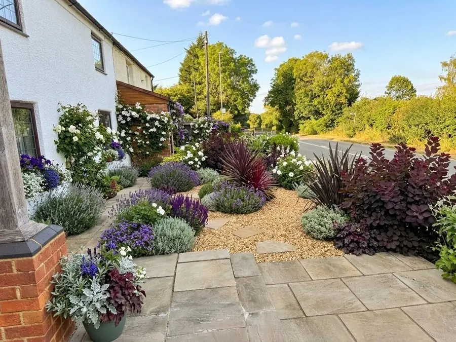 Gravel, lavender and dark leaves by a cottage, redesigned