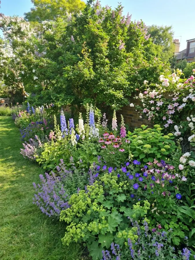 A lawn border, redesigned whole, an idea for an overgrown garden