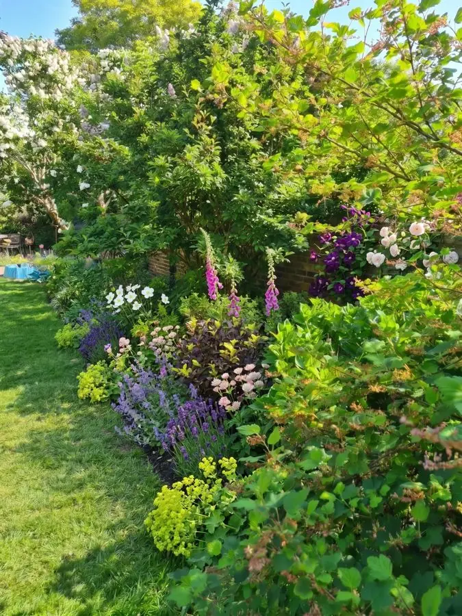 A lawn border in soft colours, redesigned