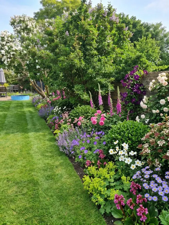 Long cottage border beside a lawn, redesigned