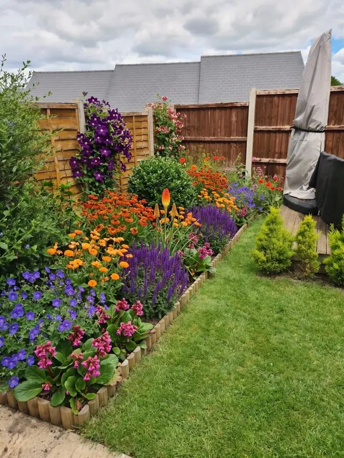 Mixed border along a fence beside a lawn, redesigned