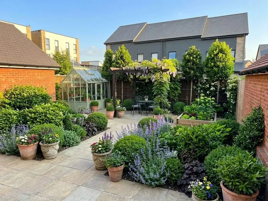 New build plot with lavender and clipped shrubs, redesigned