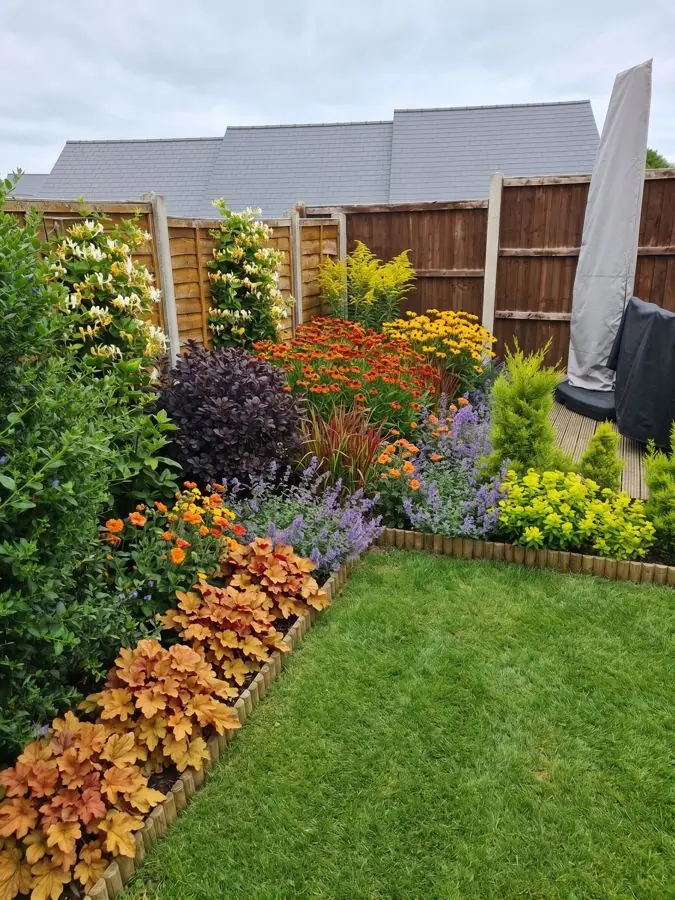 Orange and gold border beside a lawn, redesigned