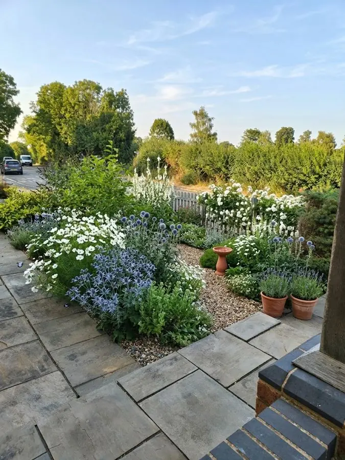 Patio edge of white and blue flowers, redesigned