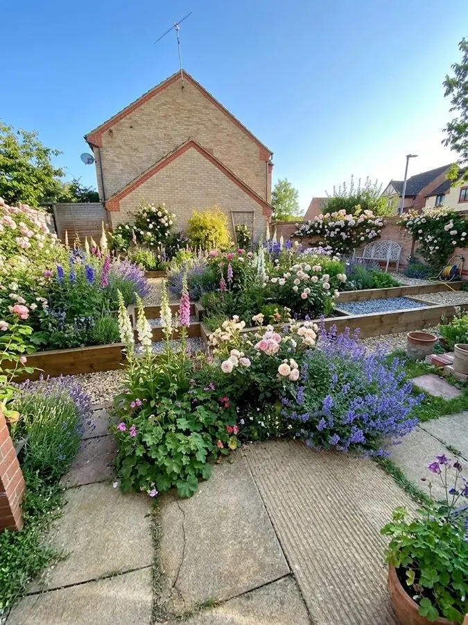 Raised bed cottage garden, an idea for a new build garden