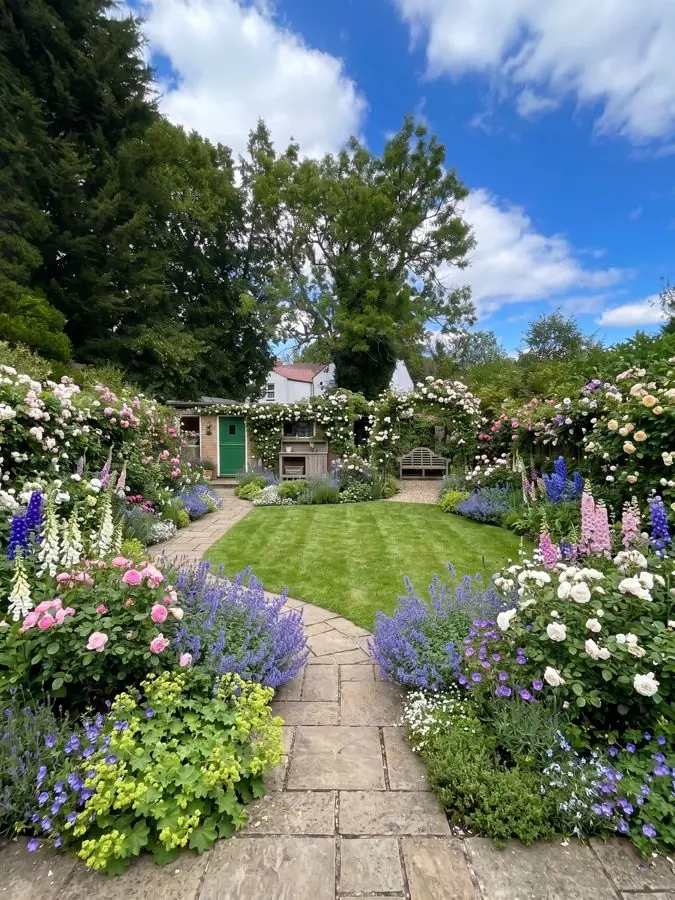 Rose and delphinium lawn, redesigned with the app