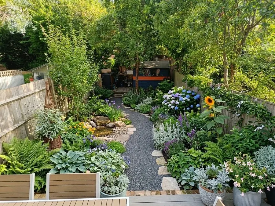 Slate path through hydrangeas and hostas, redesigned