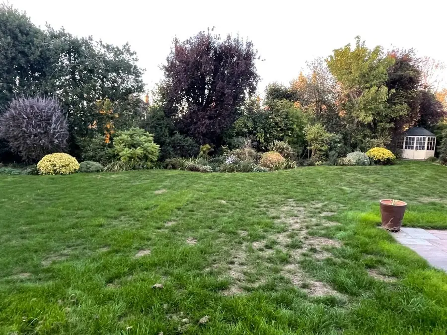 A patchy lawn with shrubs, trees and a summer house beyond, before the redesign