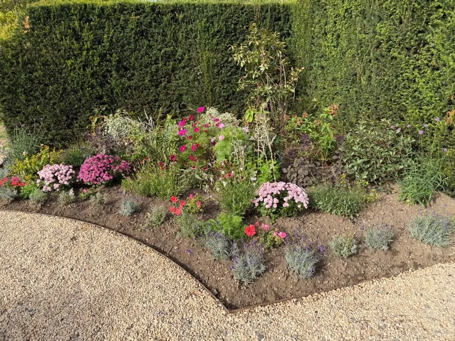 A mixed flower bed against a tall hedge with a gravel edge, before the redesign