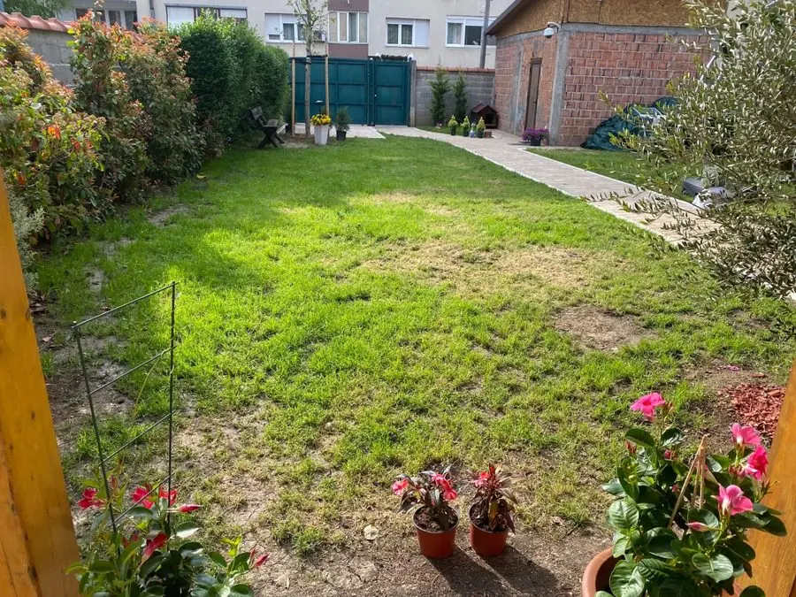 A sloping lawn with a path to a green gate and potted flowers, before the redesign