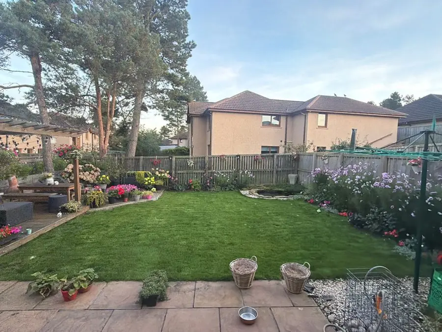 A square lawn with a patio and pine trees behind a fence, before the redesign