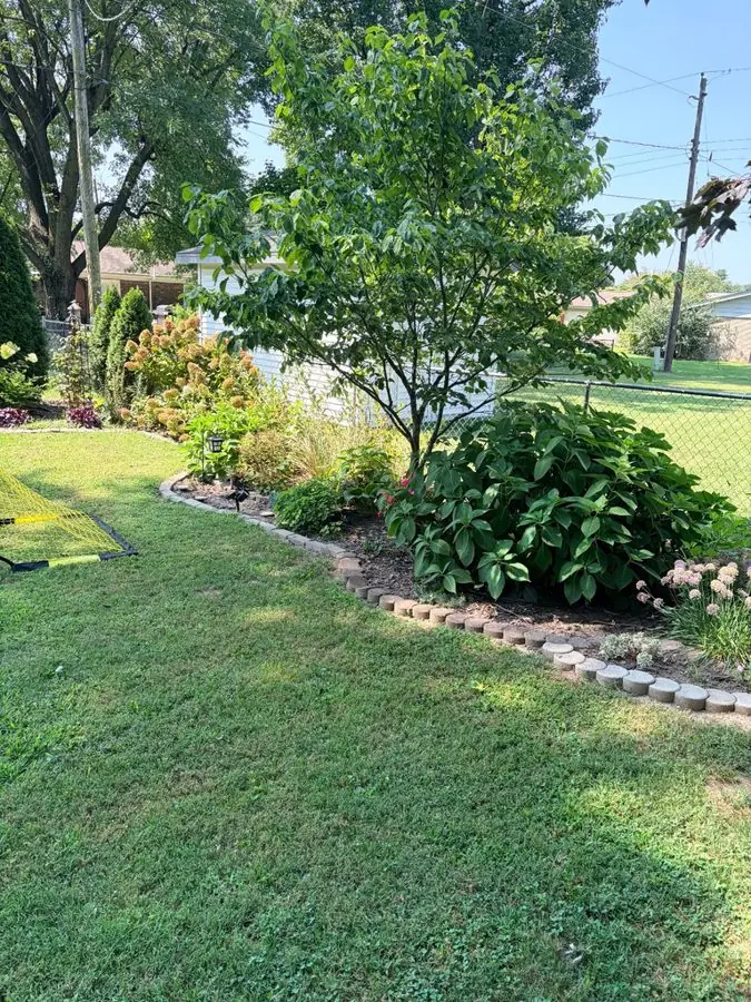 A lawn with a curved brick edged bed under a young tree, before the redesign